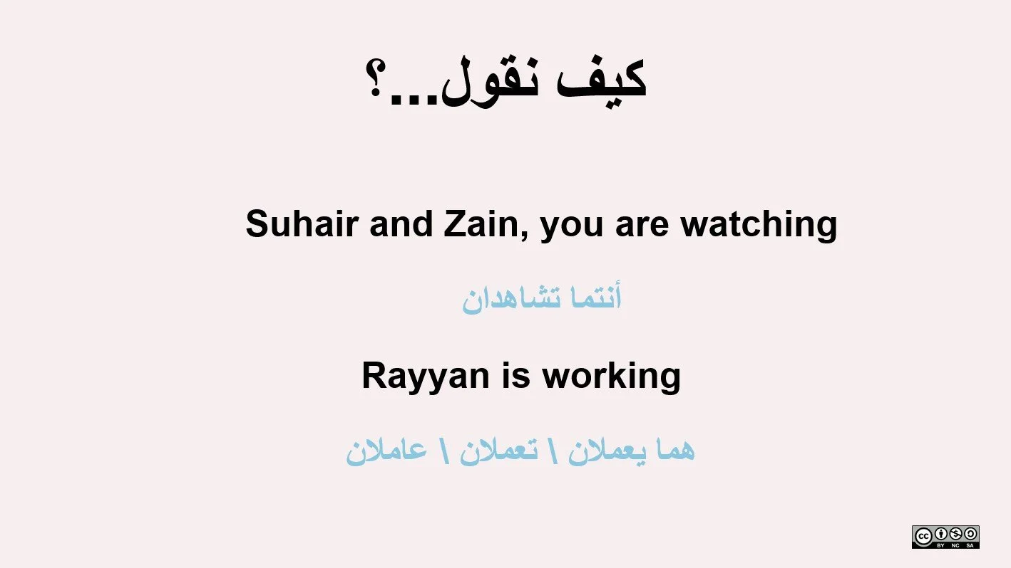 Pronoun review powerpoint p19.jpg