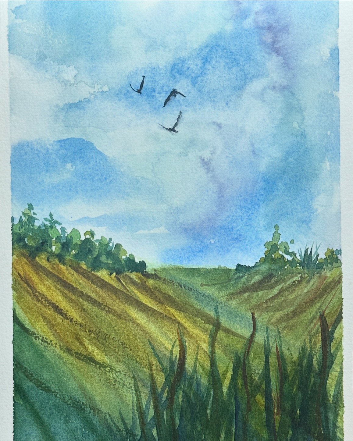 Serene Skies - Original Watercolor