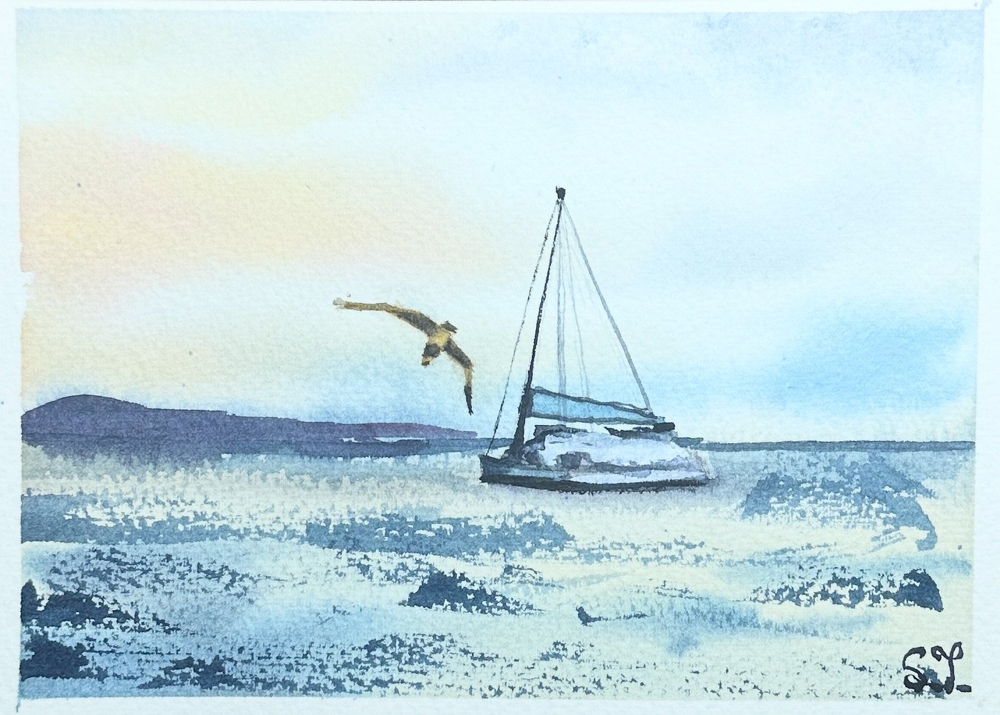 watercolor 0003 - sail soar.jpeg