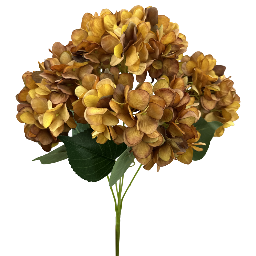 Fall Hydrangea Bush: Mustard, 19"