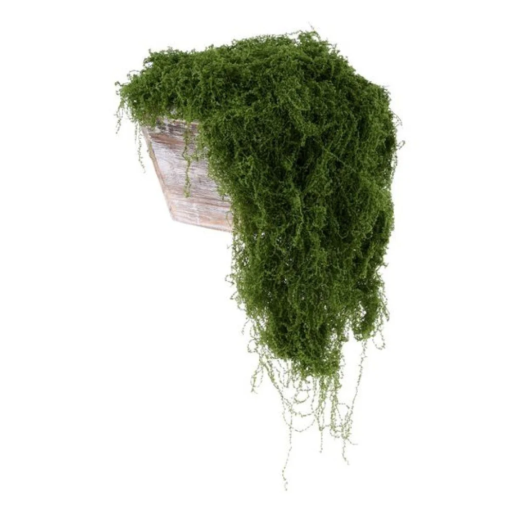 Fabric Moss in Bag: Dark Green, 100g