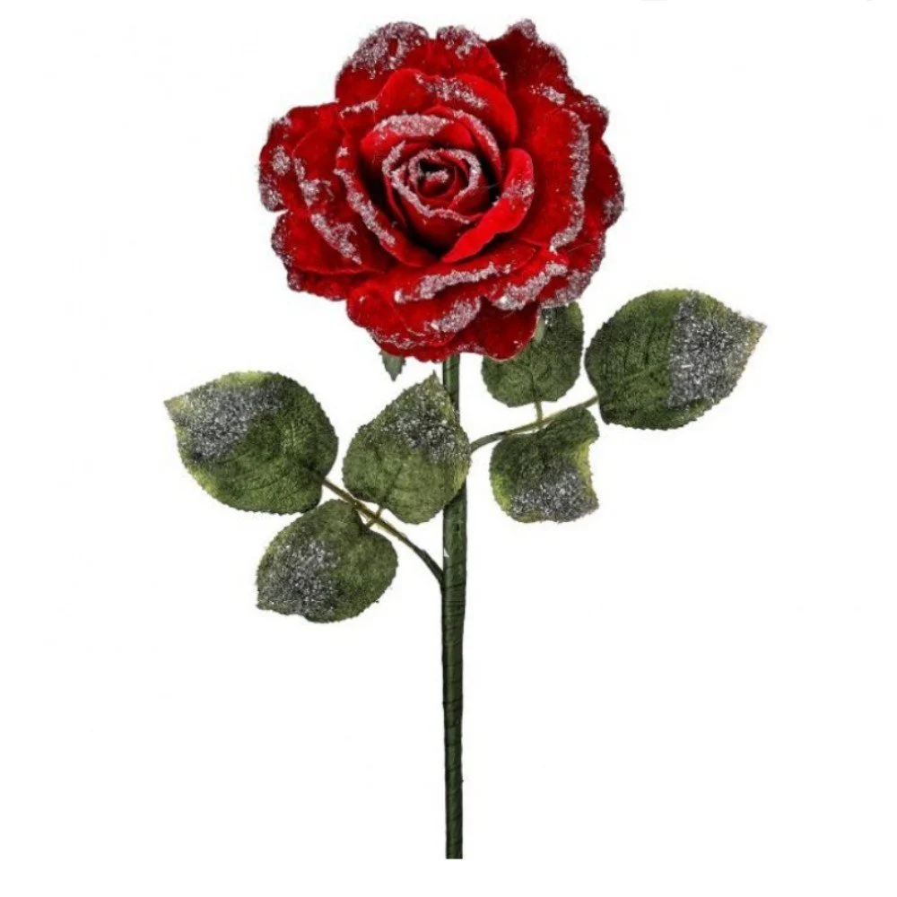 Snow Edged Velvet Rose Stem: Red, 25"