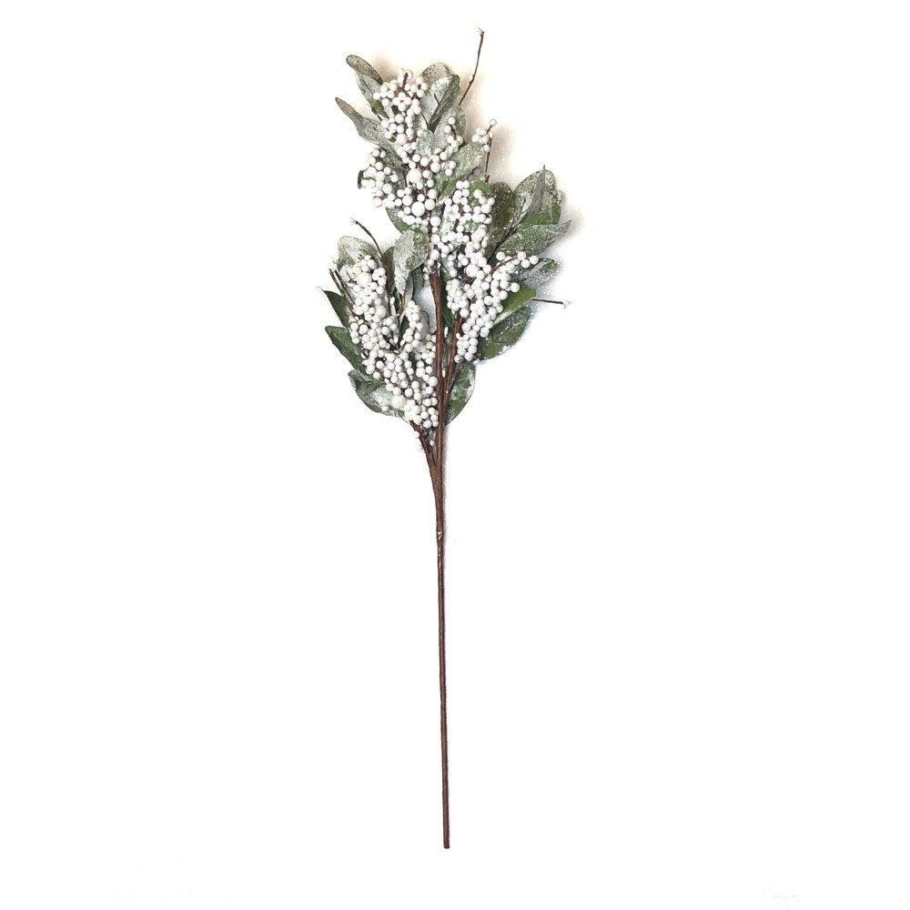 Snowberries.jpg
