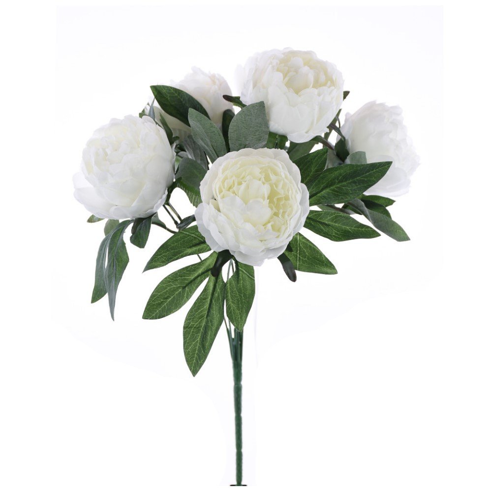 Peony x7 Bush w/Lvs: Cream, 17"