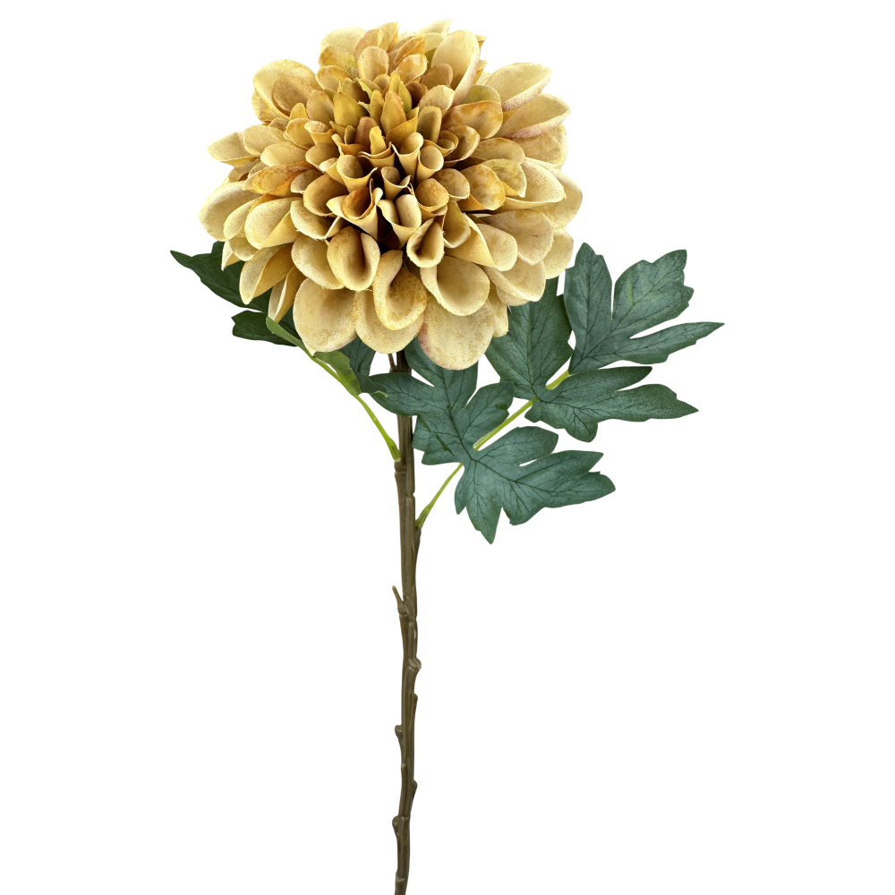 Zinnia Stem: Beige, 25"