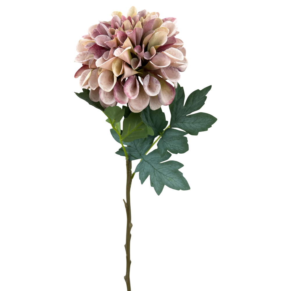 Zinnia Stem: Mauve, 25"