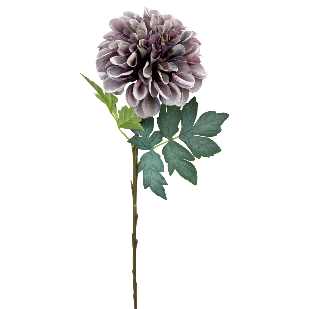Zinnia Stem: Purple, 25"