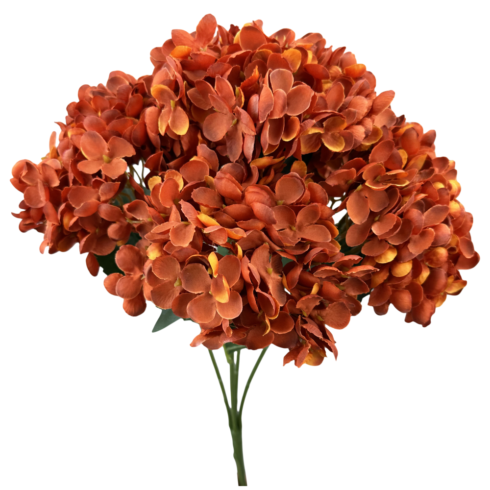 Fall Hydrangea Bush: Copper, 19"