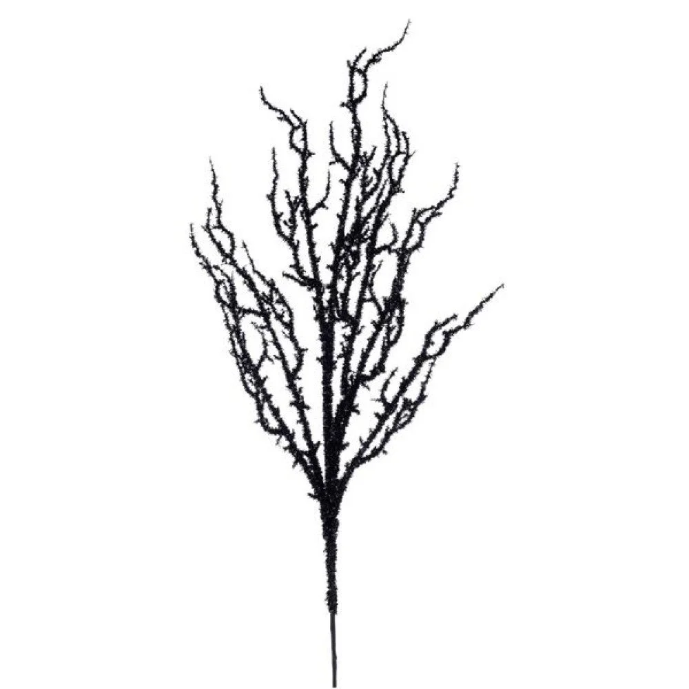 HH762502.jpg