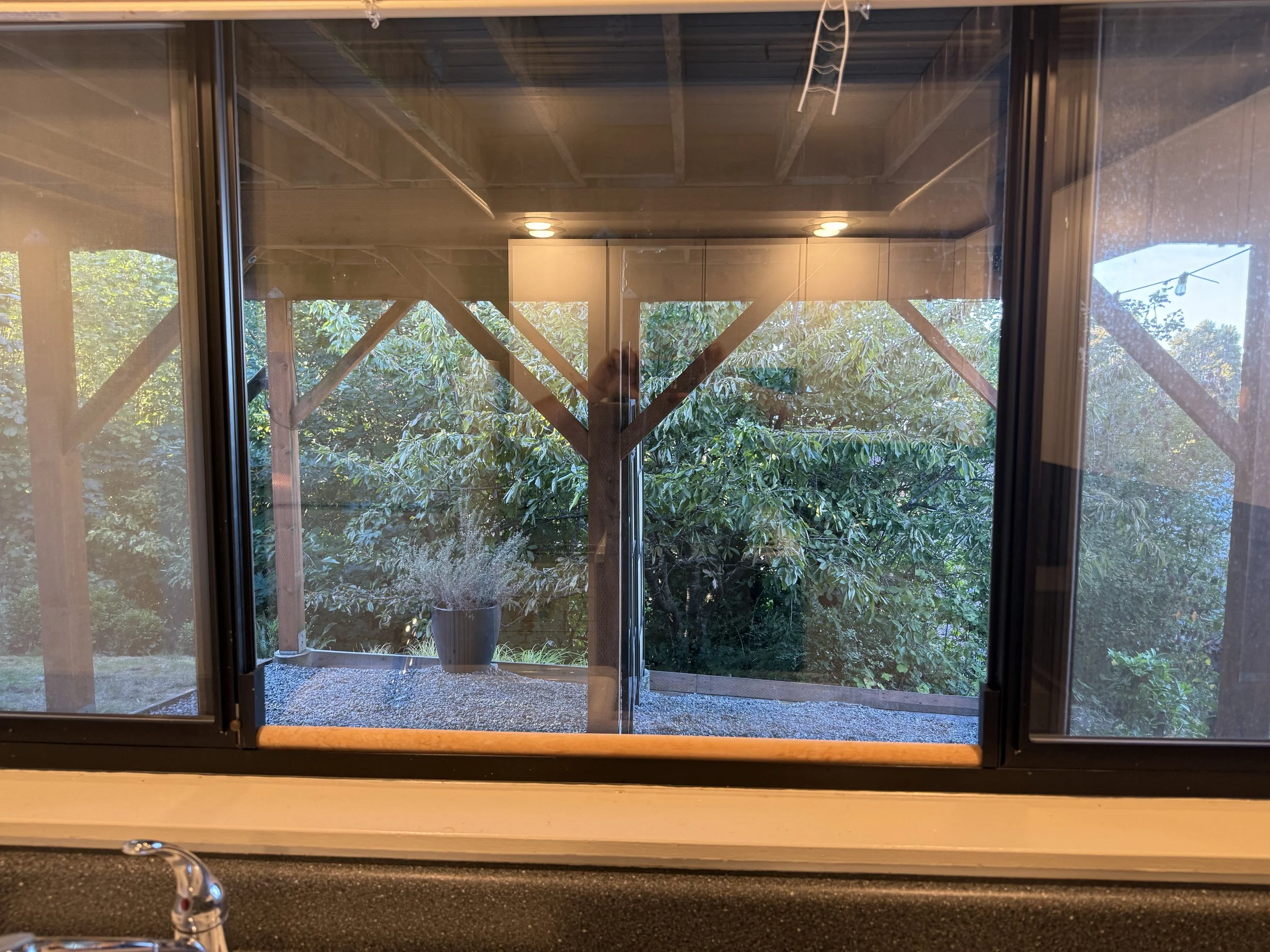 IMG_2453.jpeg