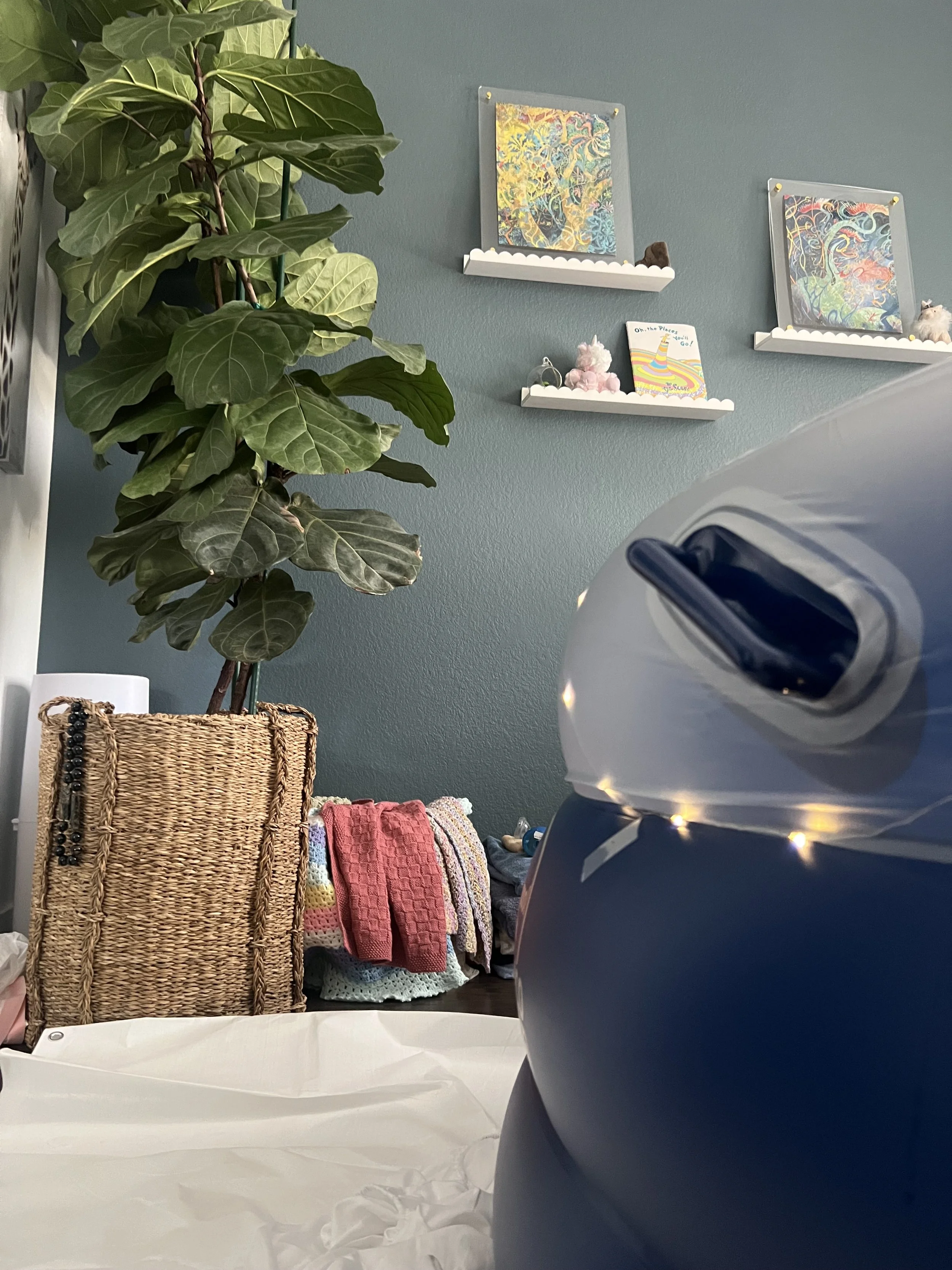 Indoor scene with a large green potted plant on the left, two floating shelves with colorful abstract artwork and decorative items on the blue wall, a stack of folded towels, and a laundry basket in the foreground.