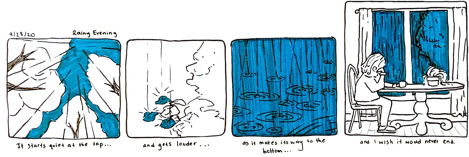 Autobiographical Comic