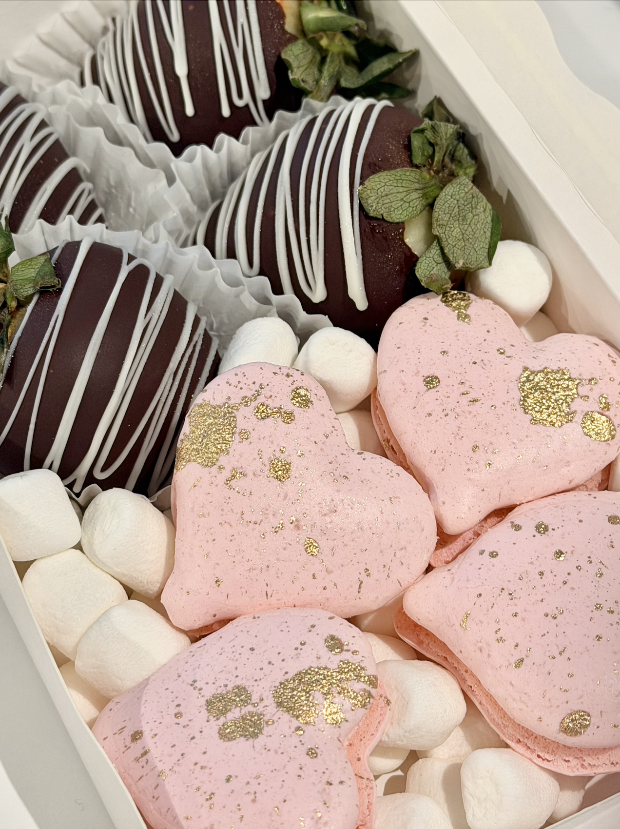 Screenshot 2026-01-28 at 9.54.26 AM.png