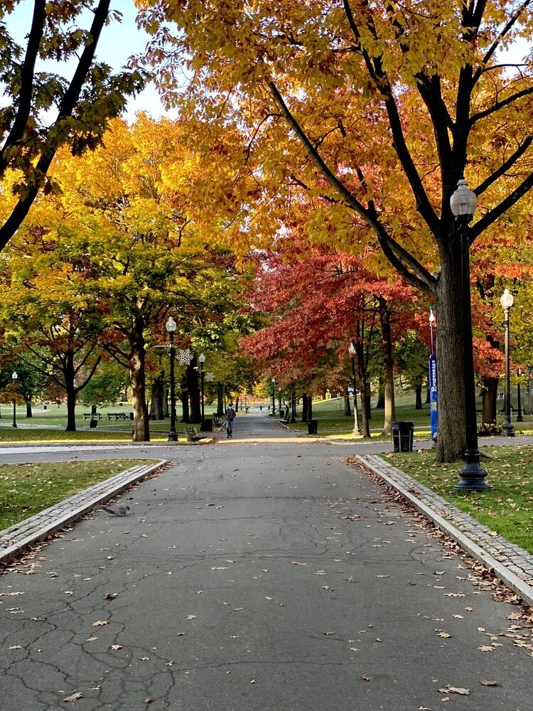 A Runner's Paradise