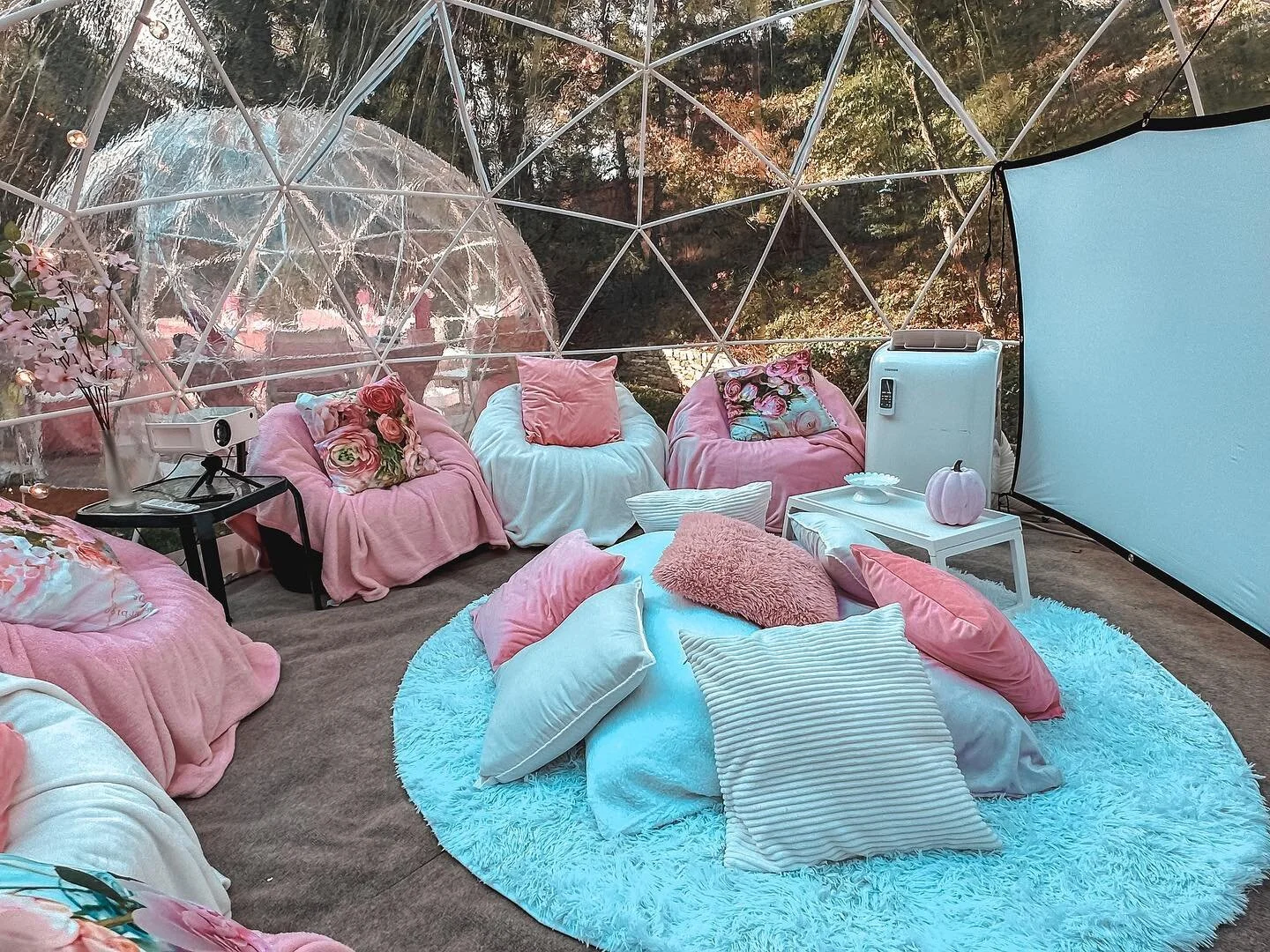 Roses are red , violets are blue
You should watch a movie , in one of our igloos