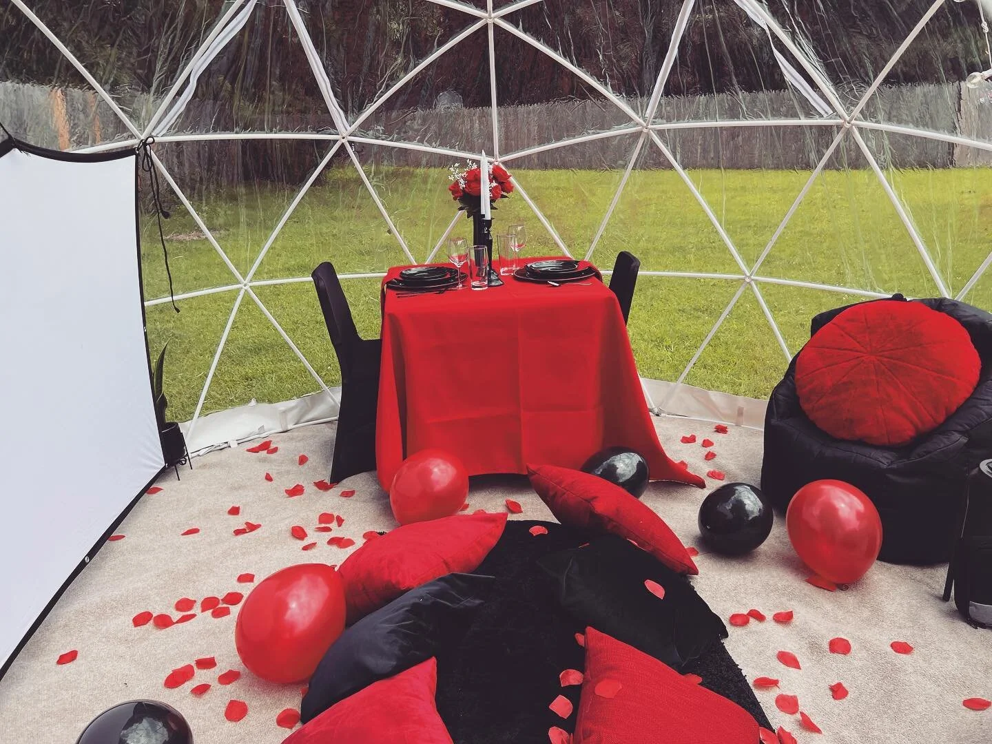 Roses are red🌹 
Violets are blue 🟦
Valentines Day is coming.. 💝
Watcha going to do? 🤔