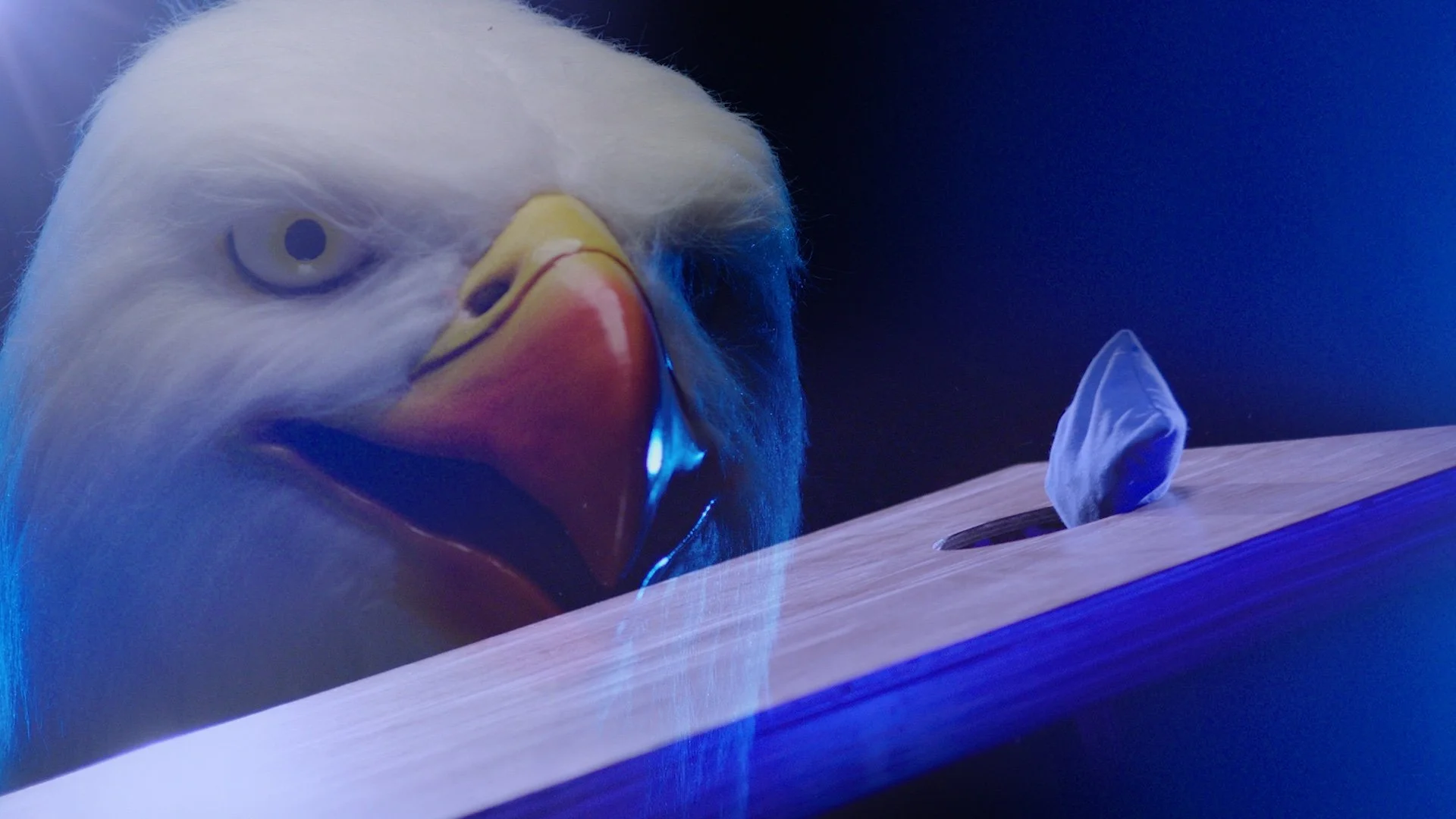 Johnsonville: Made in the USA