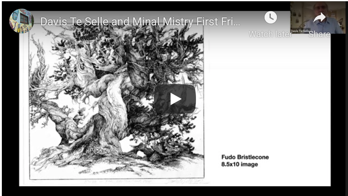 July 2020 Show Preview: Davis Te Selle and Minal Mistry