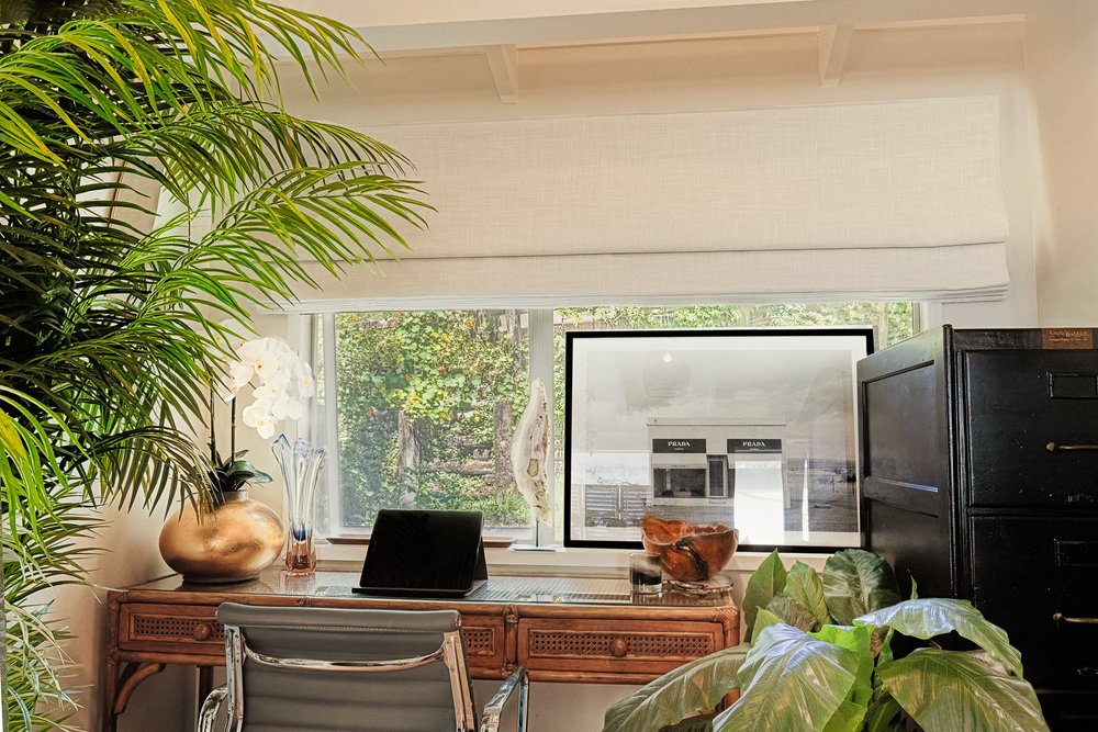 Desk space with natural light, plants and framed artwork.