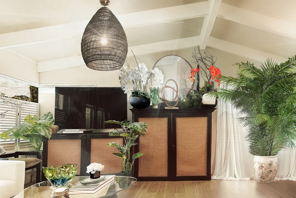 Dark timber cabinet with art, decorative objects and greenery.