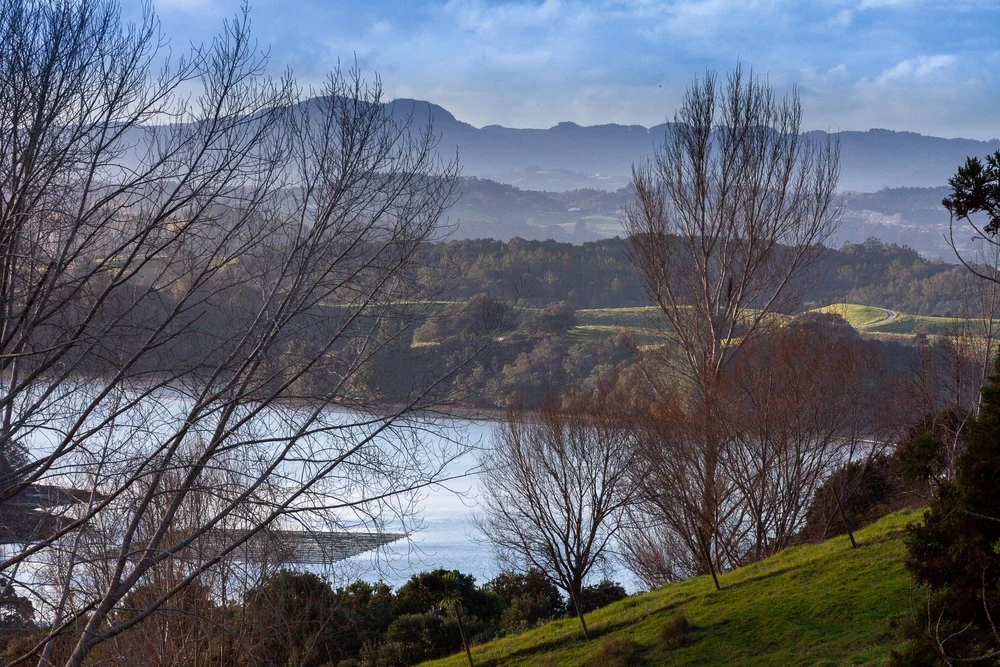 Water and hills in the Mahurangi West landscape.
