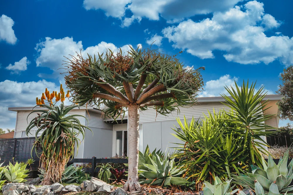Omaha coastal home framed by mature planting and blue sky.