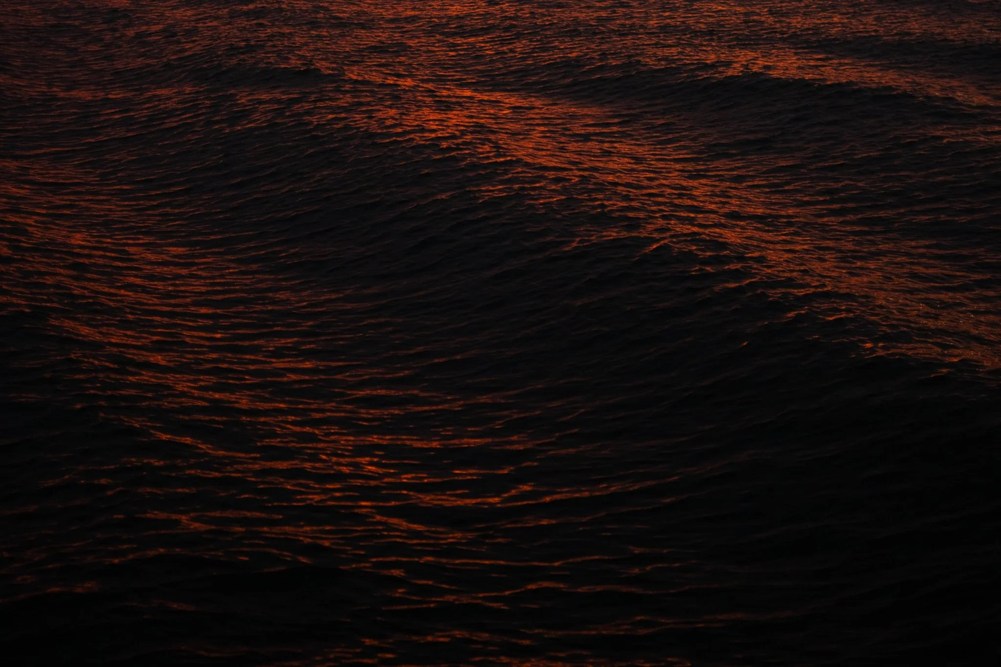 DSCF0210.jpg