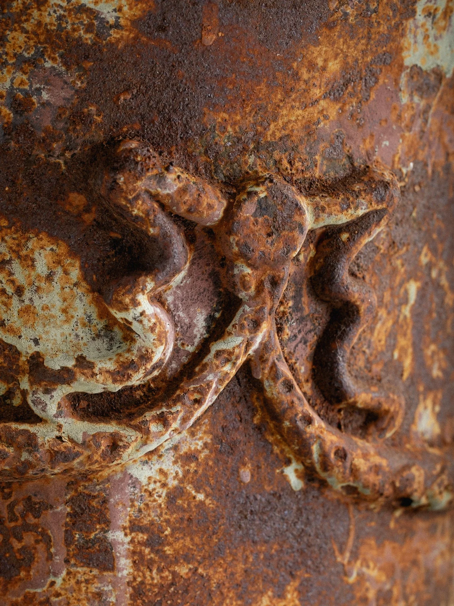 82-2026-03-240247.jpg