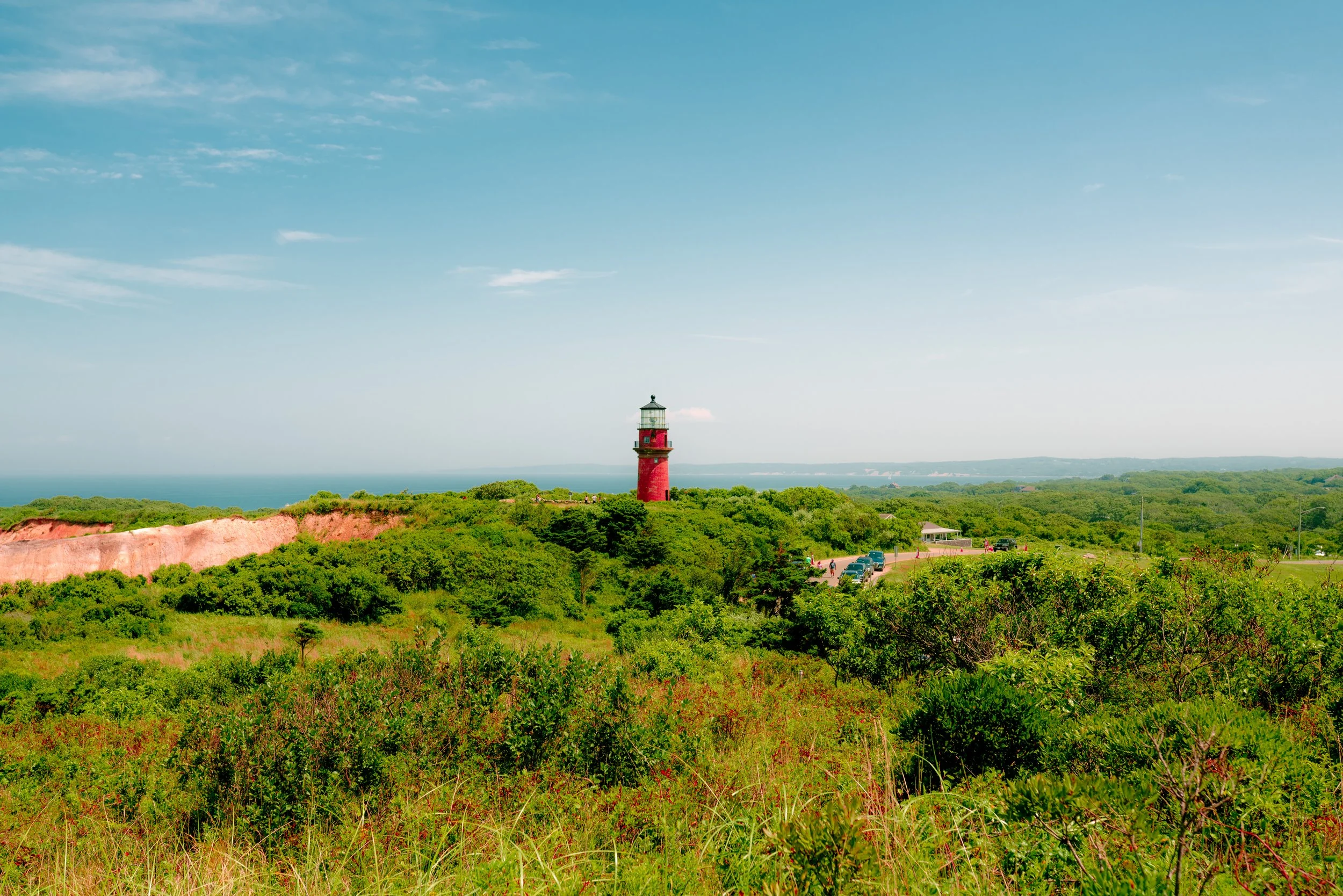 @_andrewrose -7982.jpg