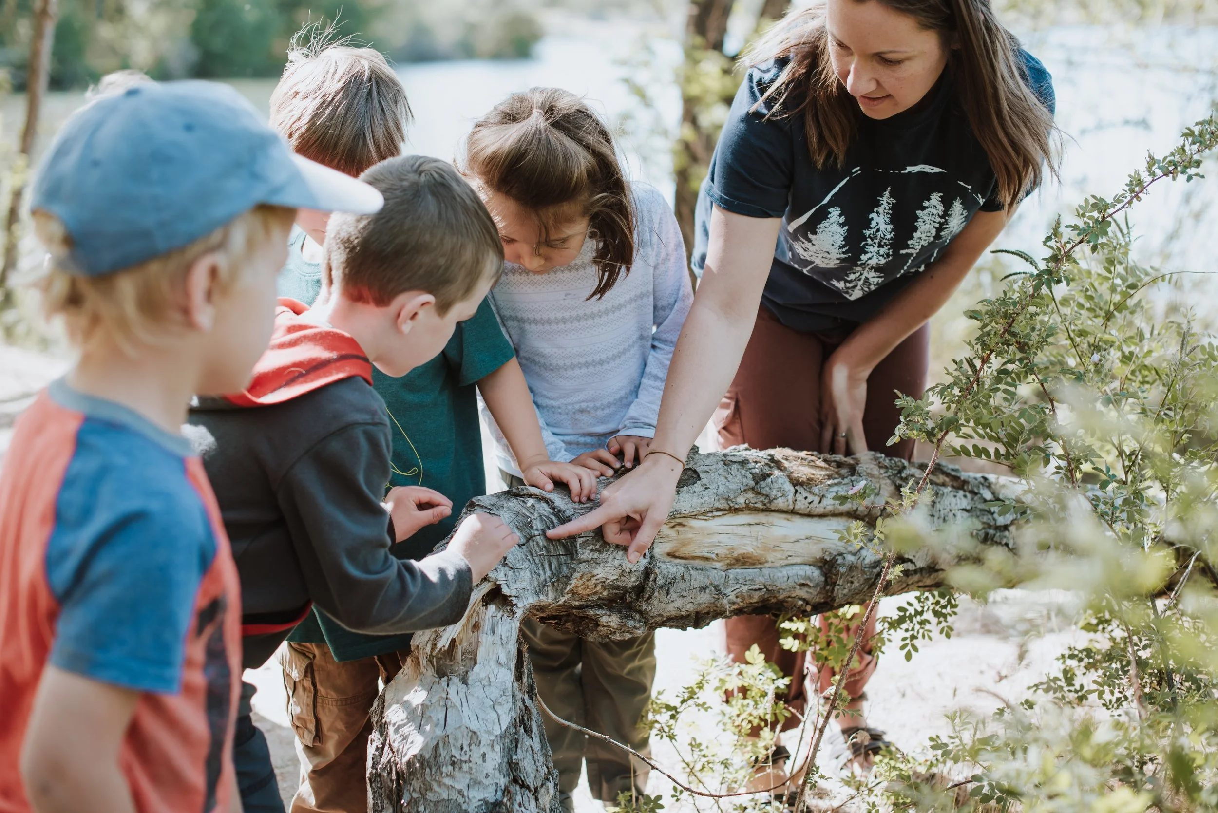 Intermediate Coaching Package