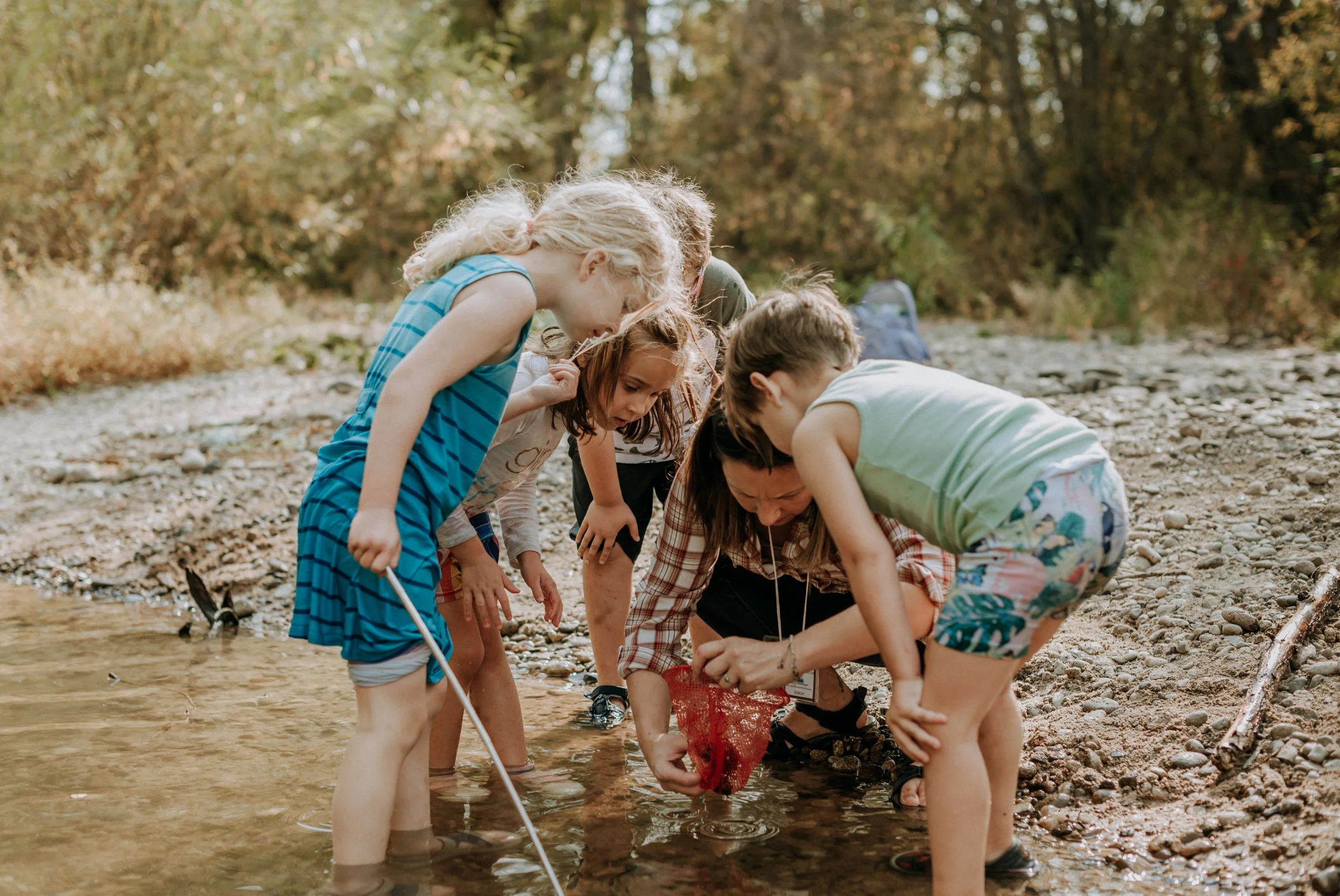 Comprehensive Coaching Package