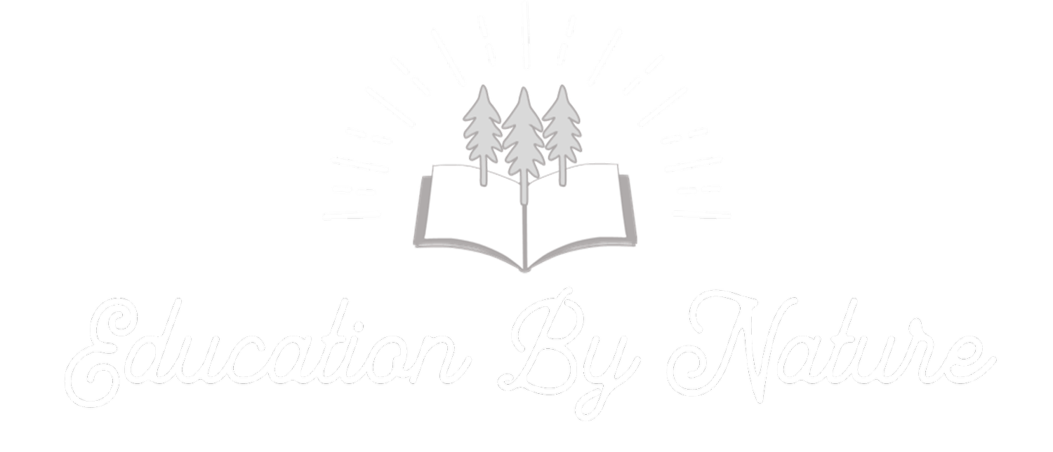 Impact Website Design