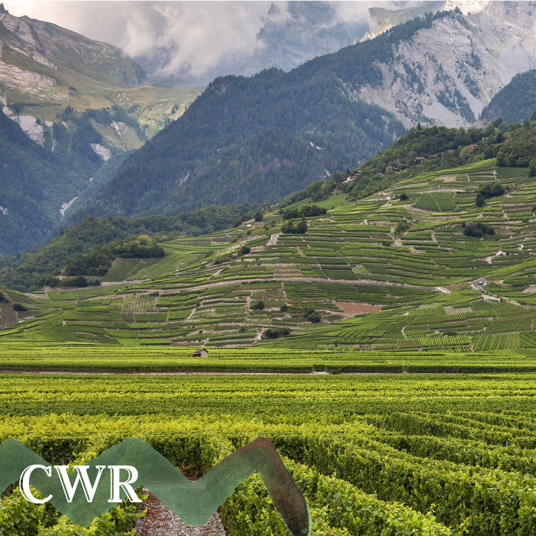 CellarDoor@Coogee - Wine Dinner - The Wines of the Rhone Valley, France