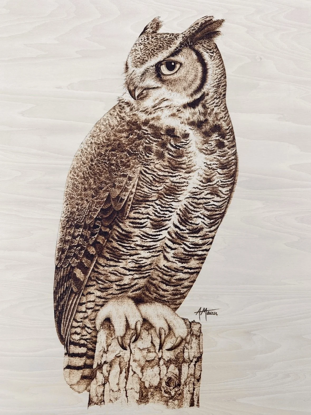 Great Horned Owl on Birch (20 x 16)