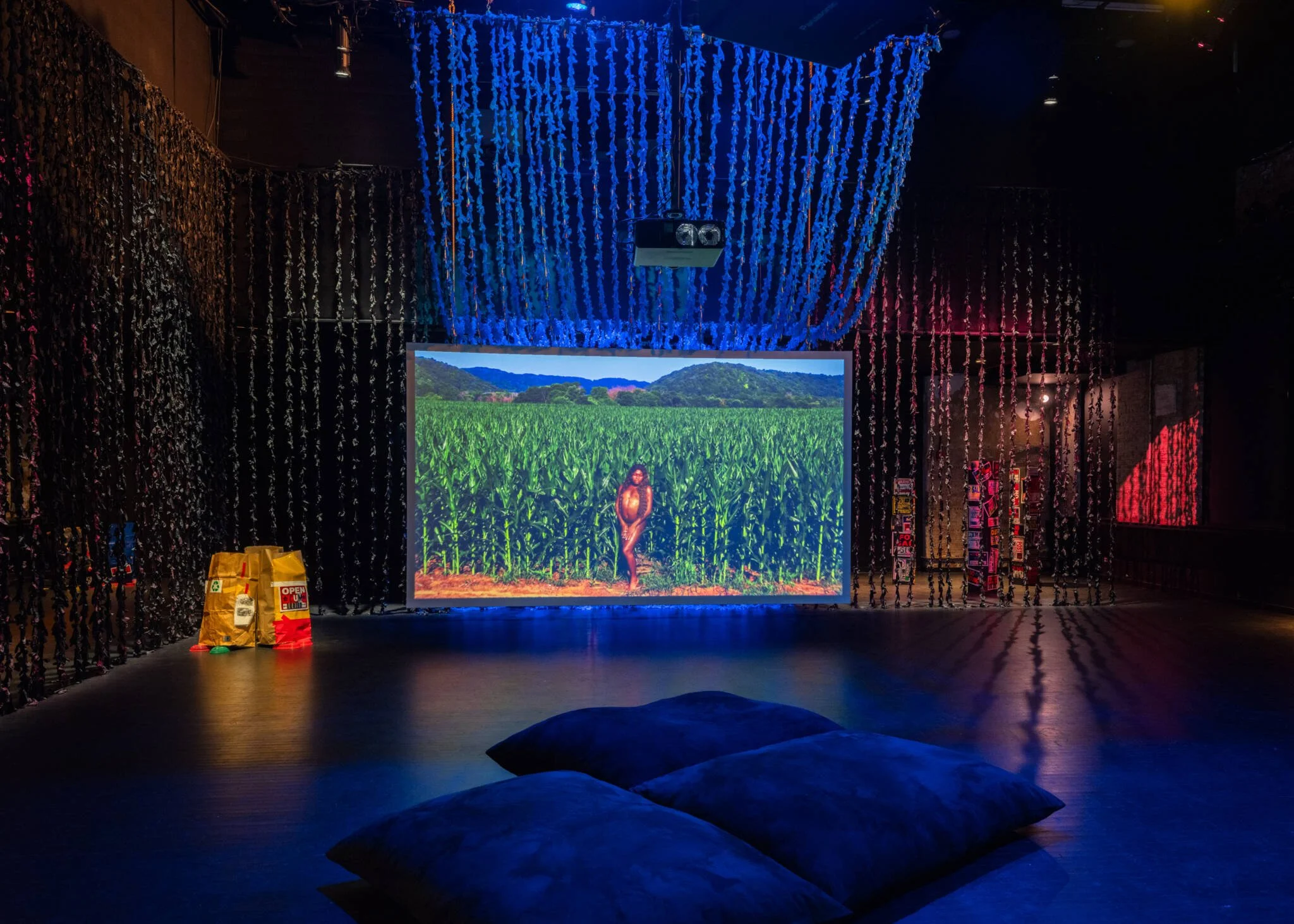 Keioui Keijaun Thomas, Nasty & Full, 2024 installation view. Photo by Kris Graves.