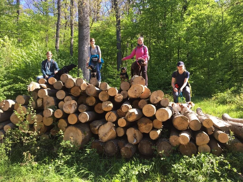 Wald- und Wiesen Walk.jpeg