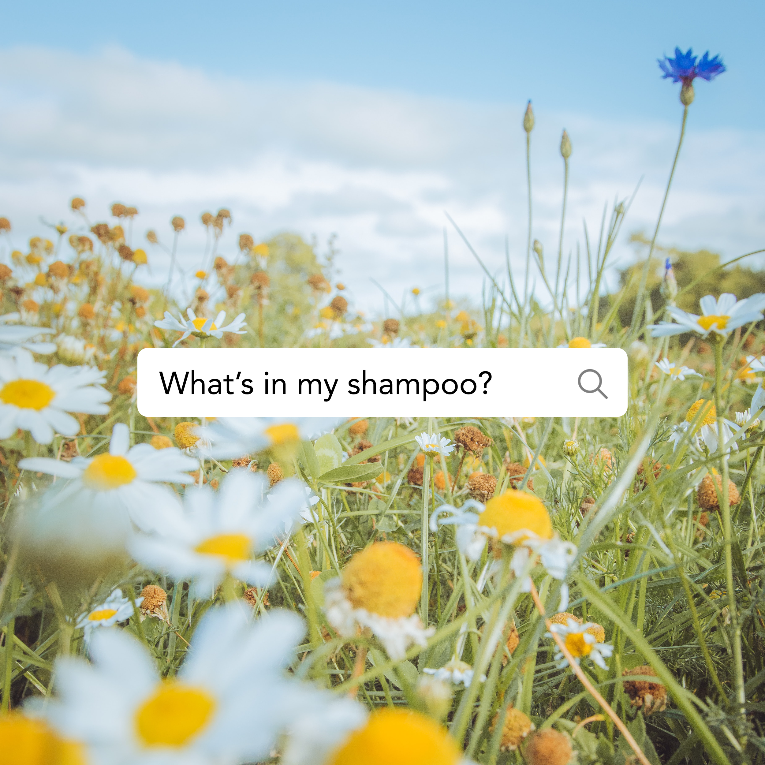 Various sample Instagram posts for the hair care brand, Everist.