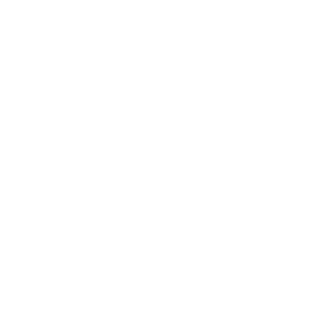 The Holistic Health Lab