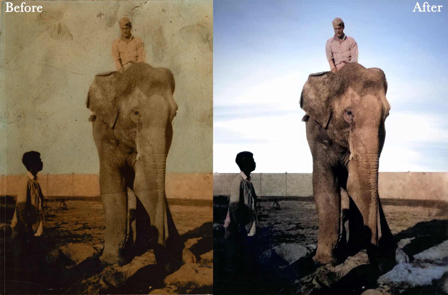 Vintage photo of a person riding an elephant, with a before and after restoration comparison.