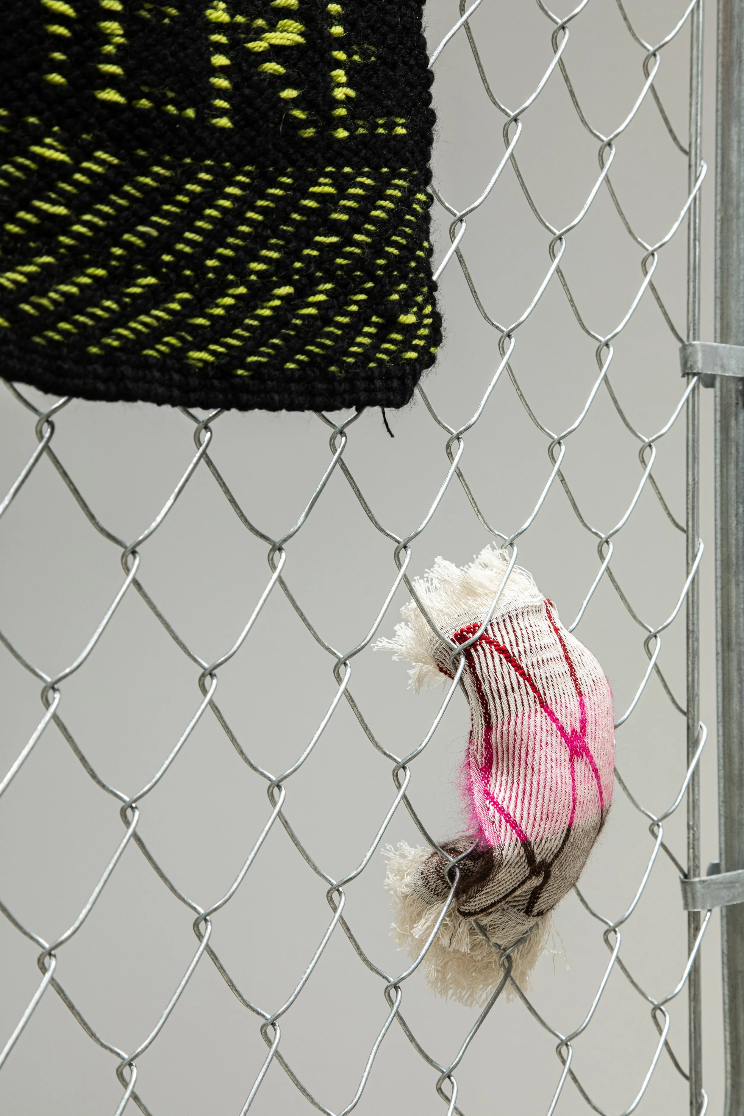 643A4750.jpg