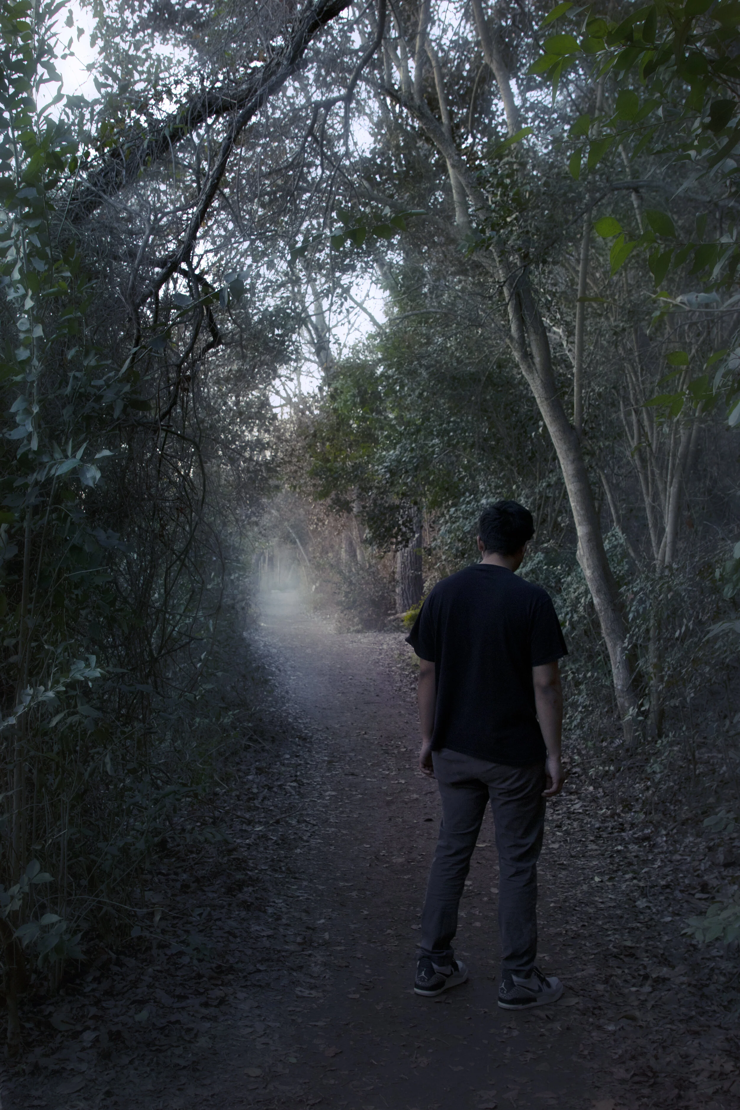 fogpath.jpg