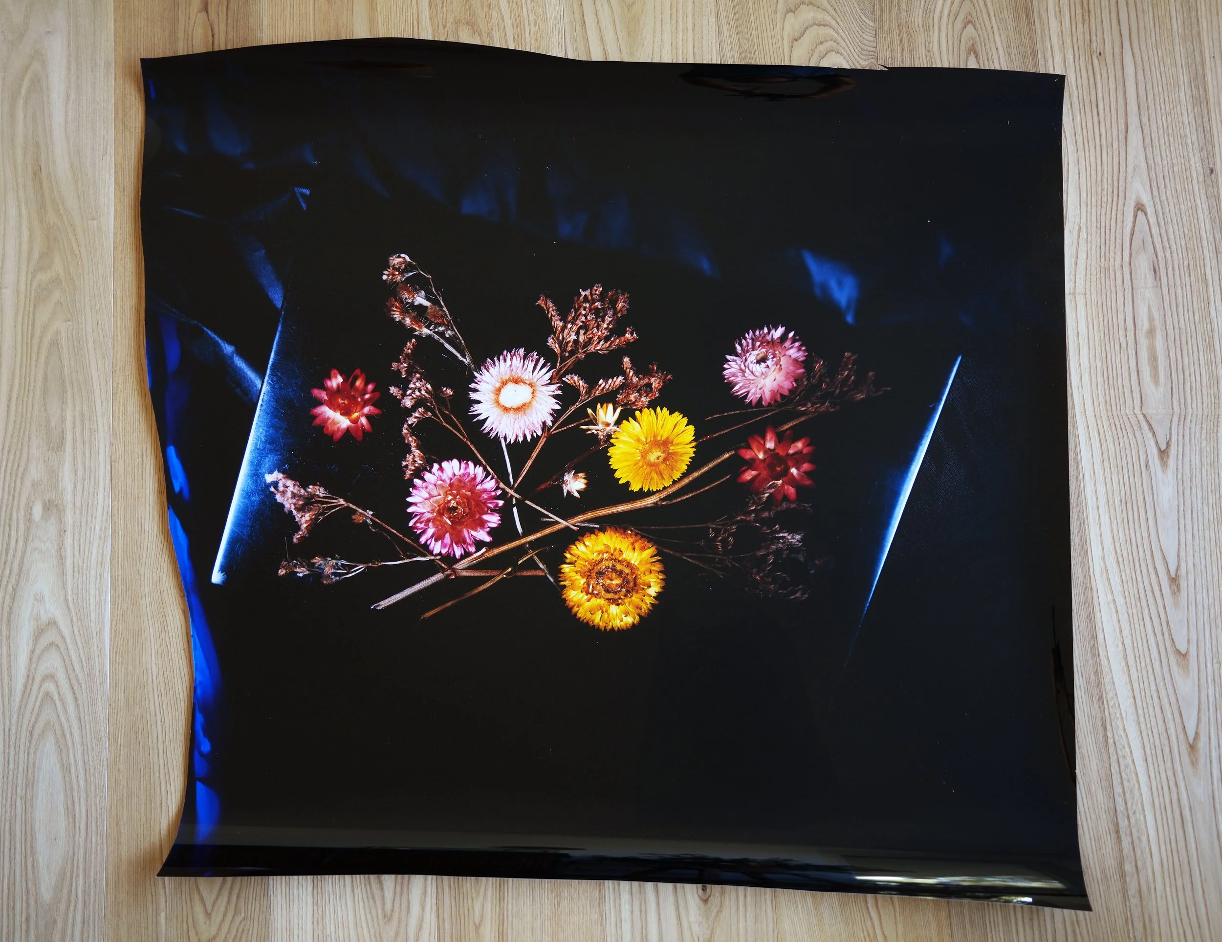 014 - Fleurs suspendues