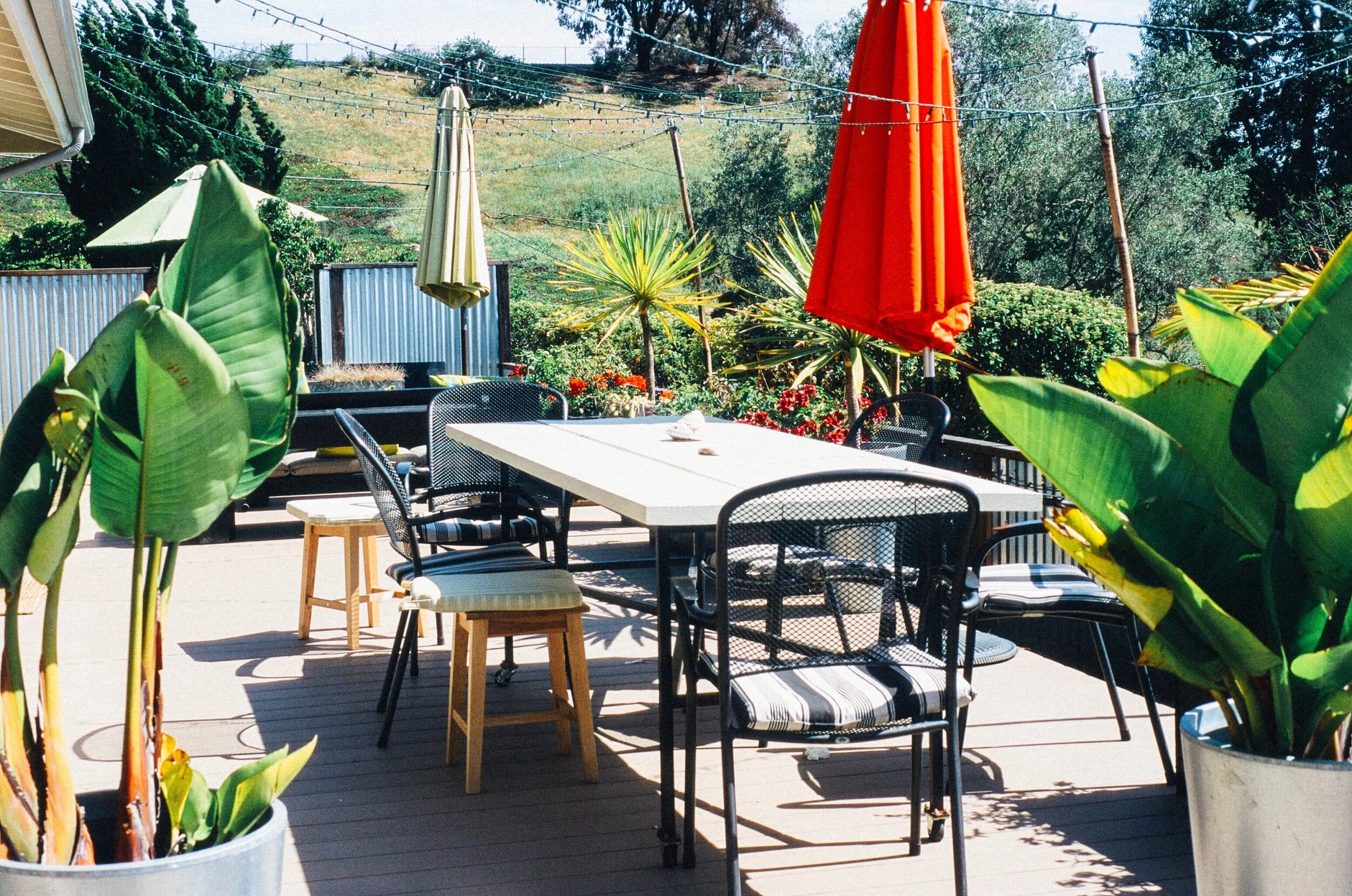 10 Brilliant DIY Suggestions for Your Garden