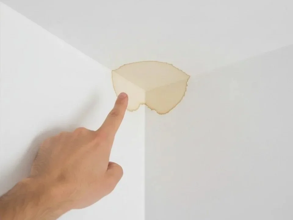 How to Tell If You Have a Water Leak at Home