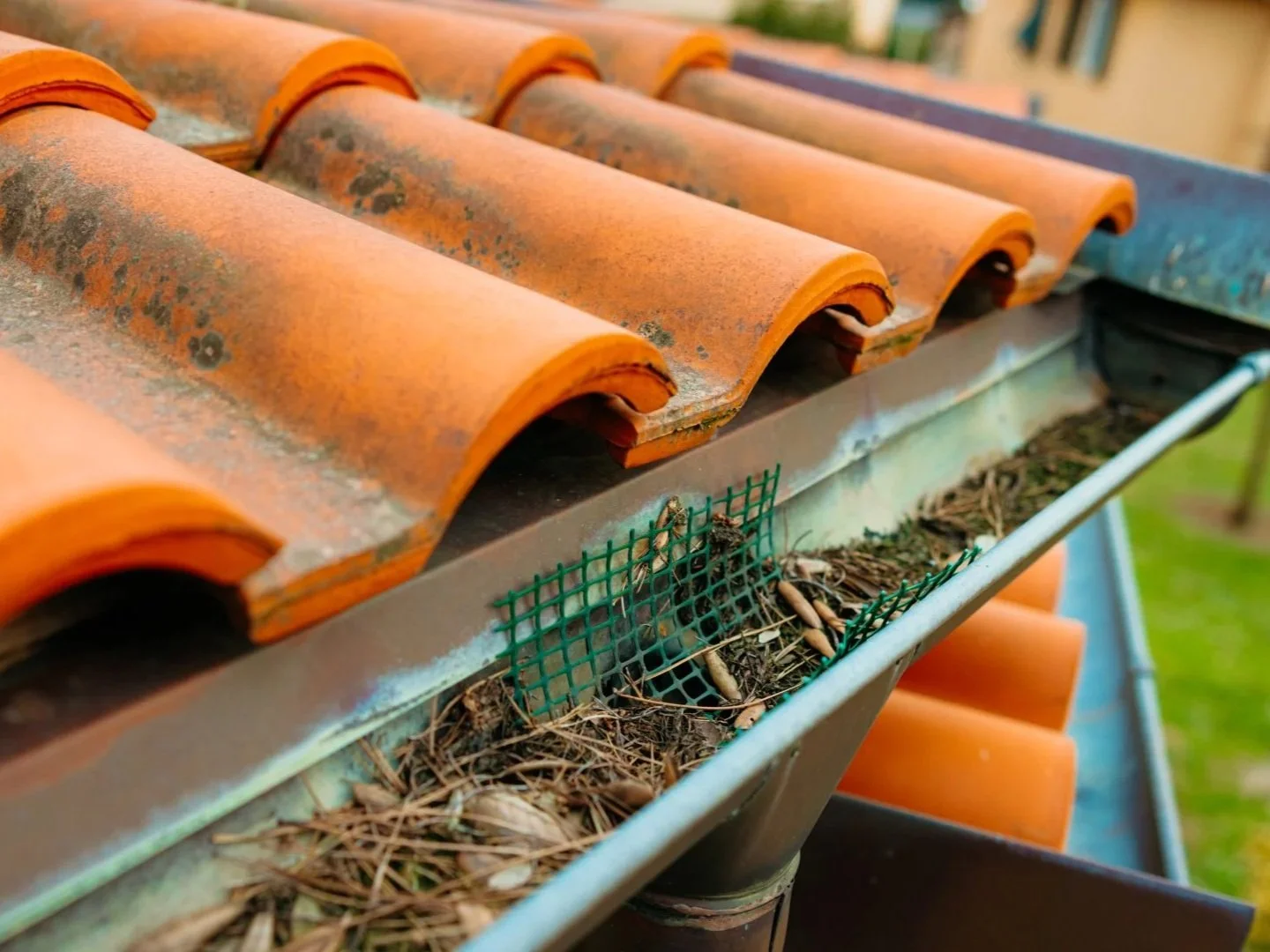 How to Clean Gutters Safely: Tools, Steps and When to Get Help