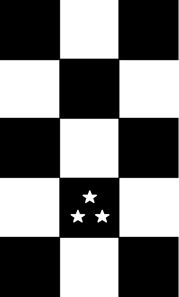A black and white checkered pattern with two star shapes in the middle black square.