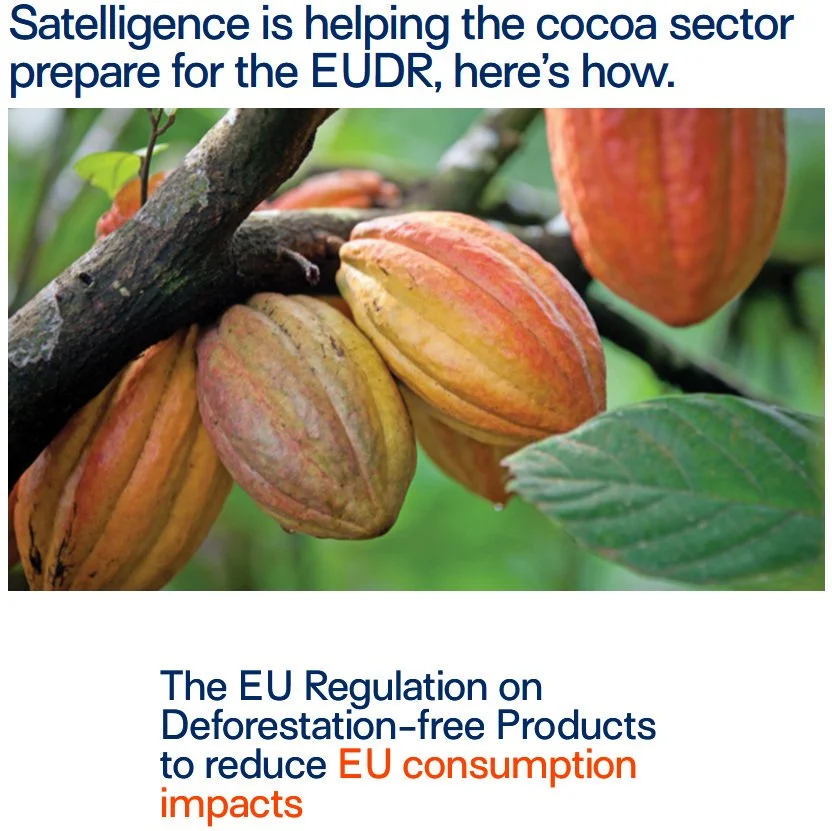 Satelligence Cocoa.jpg