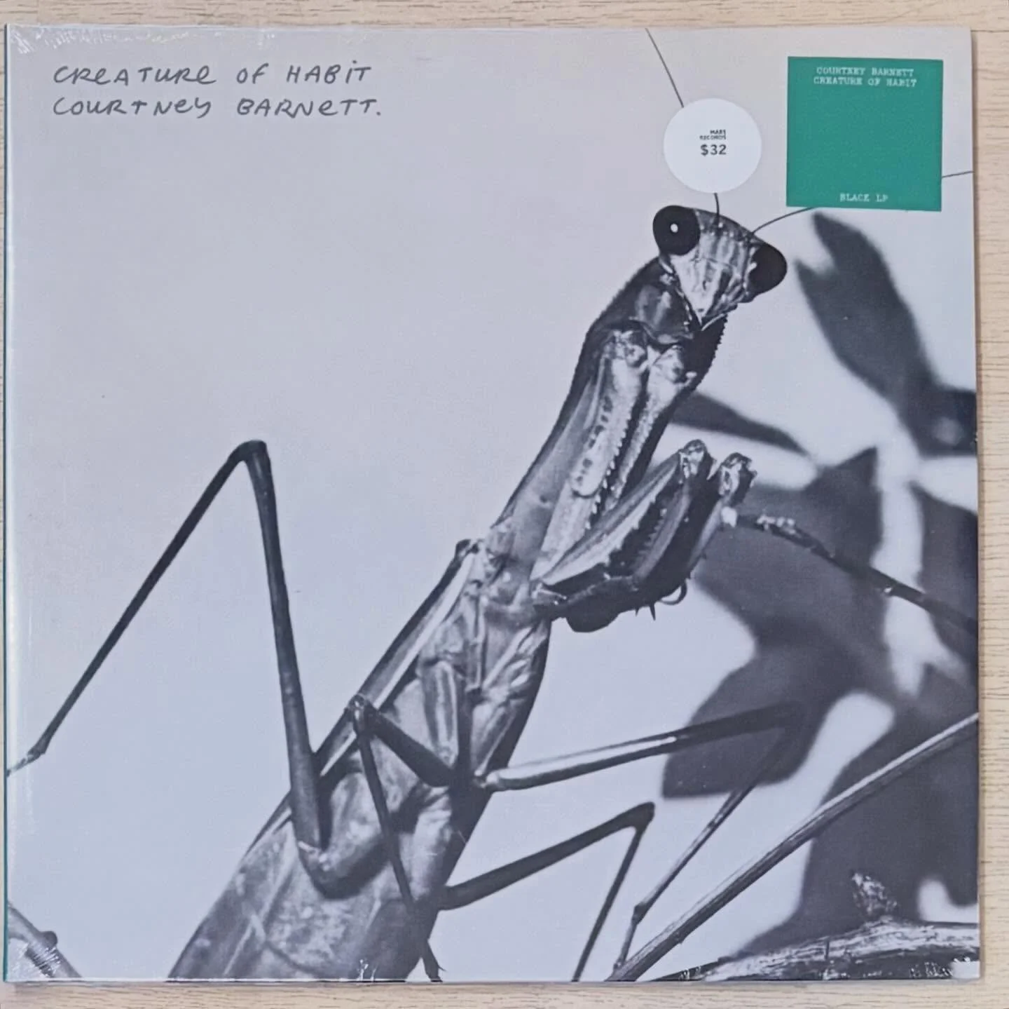 Aussie legends in stock. @courtneybarnett @kinggizzard 🦘