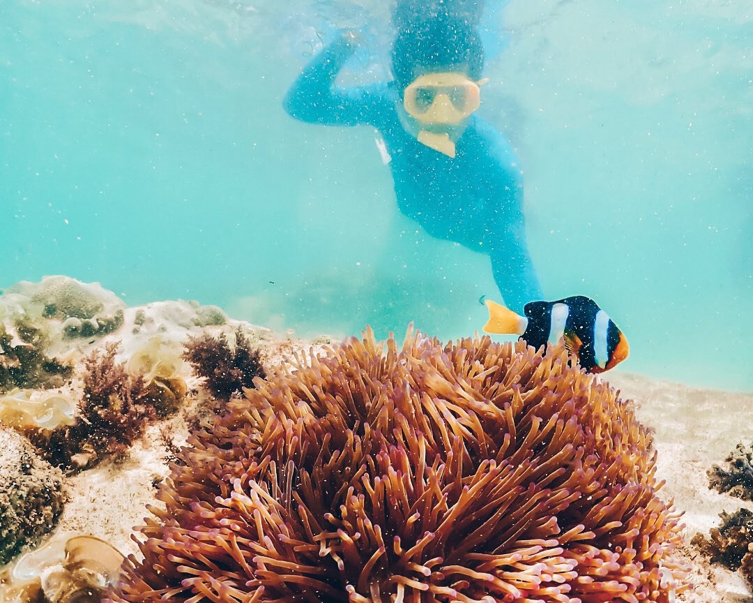 High Season vs Low Season in Koh Kood: Which Paradise Escape Is Right for You?