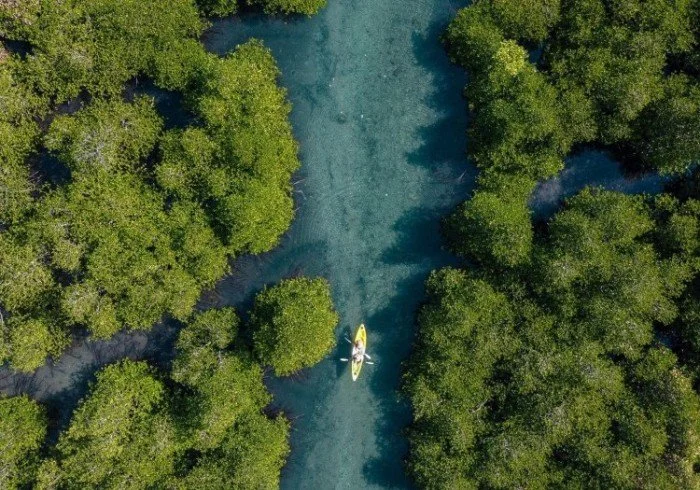 Overwater Double Room 1 or 6-4.jpg